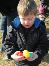 eggs eggs